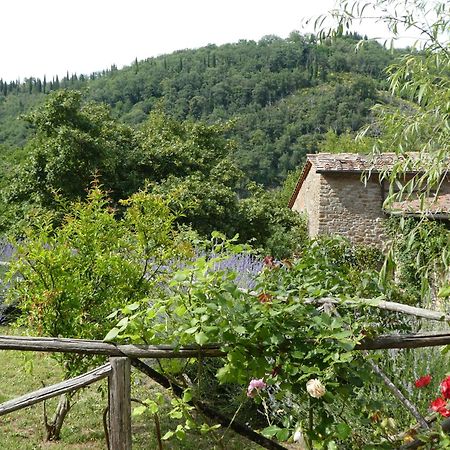 Il Capriolo Villa San Cerbone ภายนอก รูปภาพ