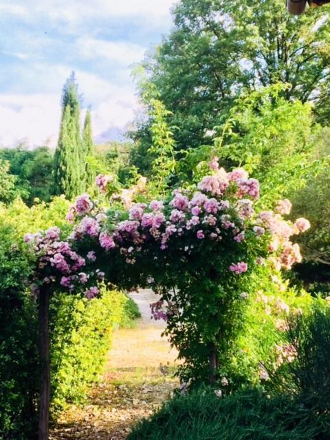 Il Capriolo Villa San Cerbone ภายนอก รูปภาพ