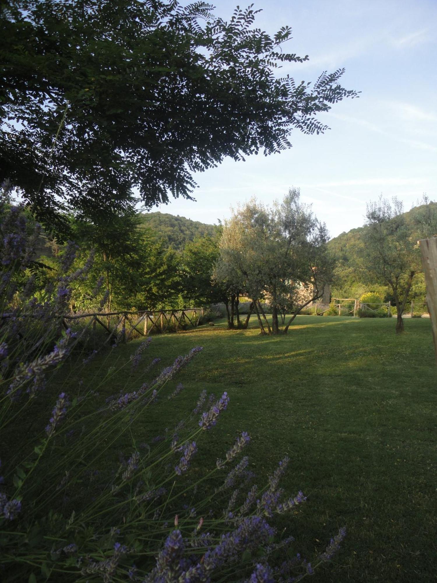 Il Capriolo Villa San Cerbone ภายนอก รูปภาพ