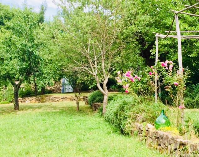 Il Capriolo Villa San Cerbone ภายนอก รูปภาพ