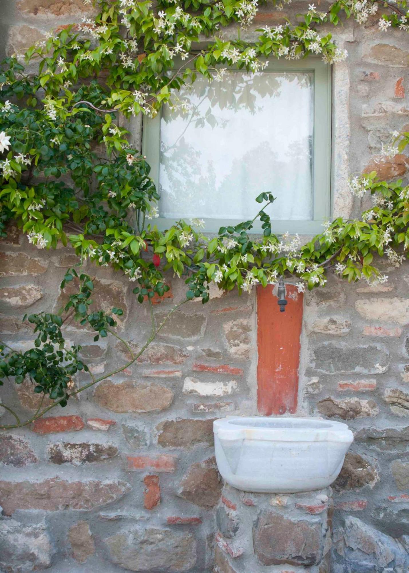 Il Capriolo Villa San Cerbone ภายนอก รูปภาพ