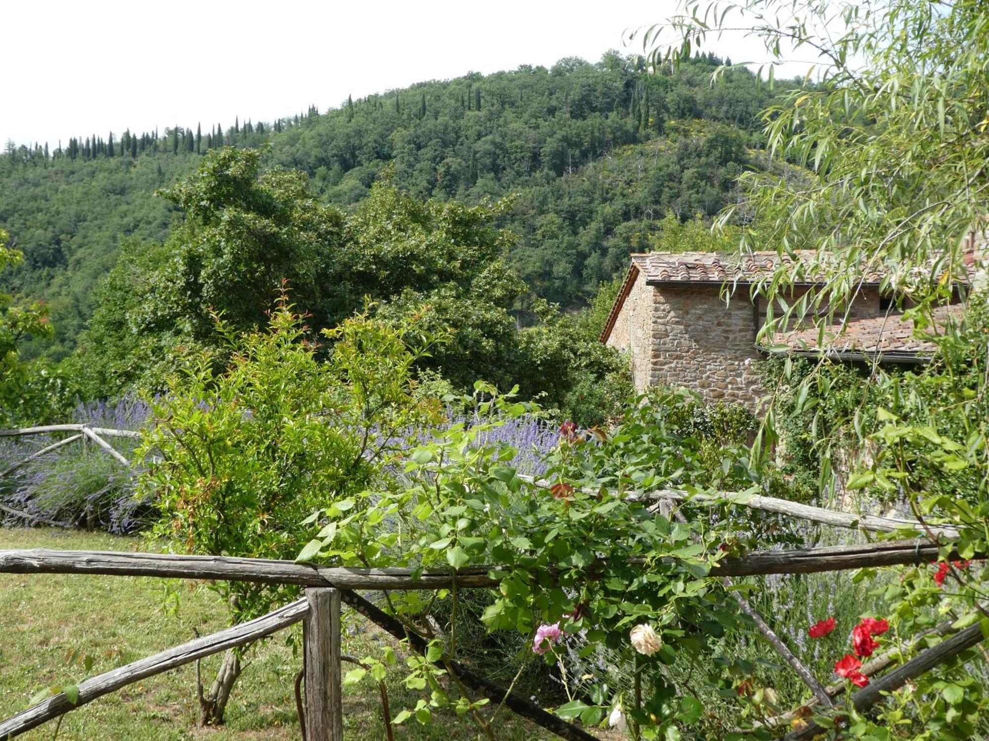 Il Capriolo Villa San Cerbone ภายนอก รูปภาพ