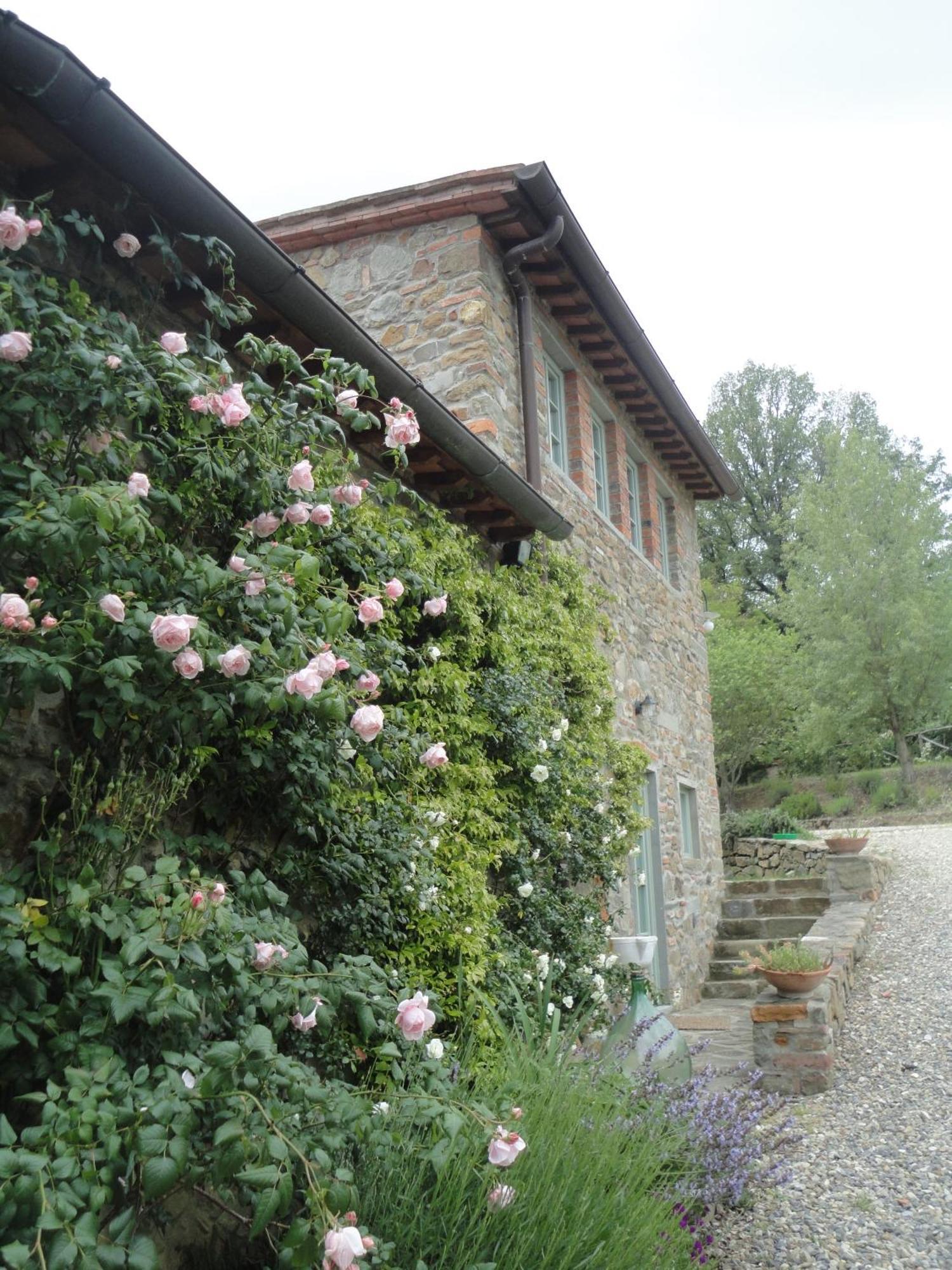 Il Capriolo Villa San Cerbone ภายนอก รูปภาพ